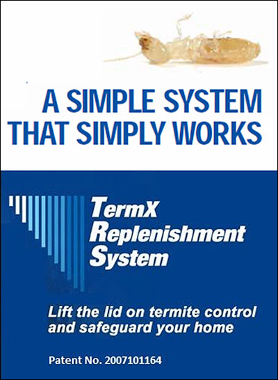 termite_treatment