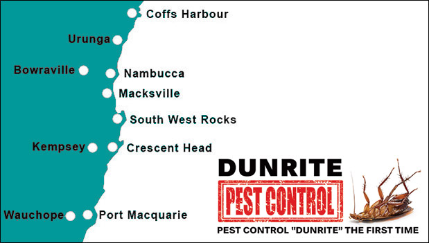 Pest control port macquarie